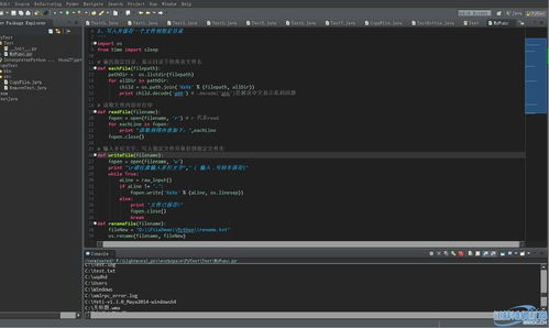 Python编程环境与软件开发实践指南